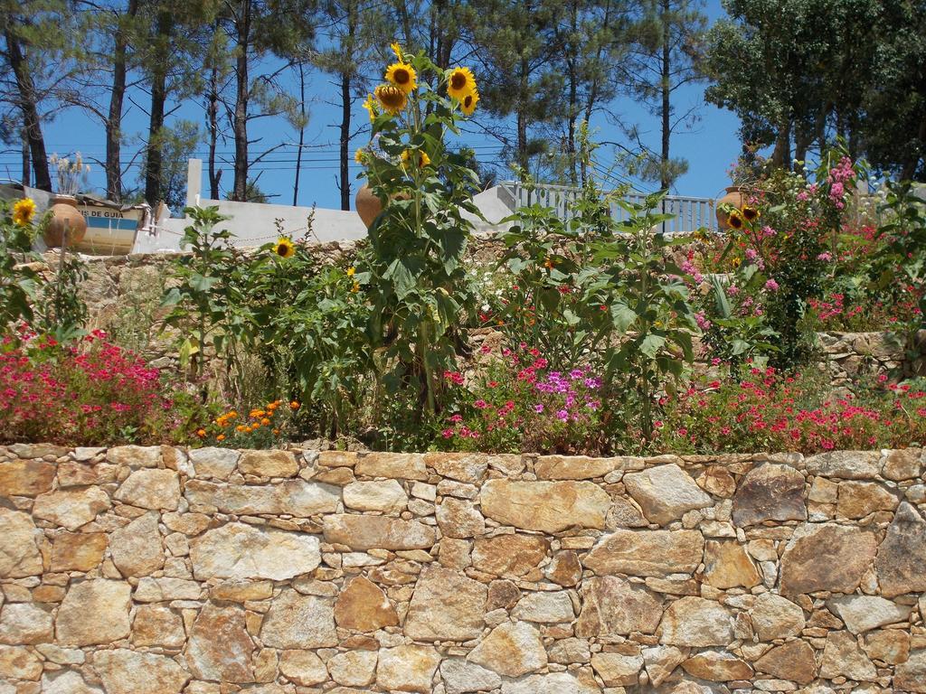 Casa Do Cabril Villa Pedrogao Pequeno Exterior photo